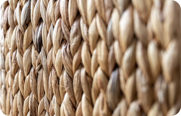 texture woven beige straw background braids from plant stem close up